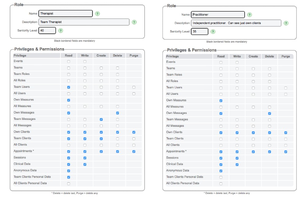 Role example permissions